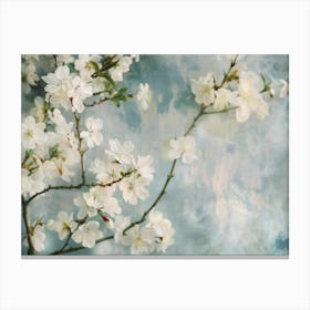 White Cherry Blossoms Canvas Print