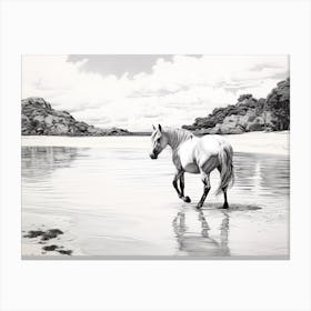 A Horse Oil Painting In Anse Cocos, Seychelles, Landscape 2 Canvas Print