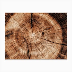 Sliced Log Canvas Print