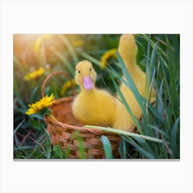 Ducklings In A Basket 1 Canvas Print