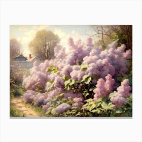 Lilac Blossoms In Spring 1 Canvas Print