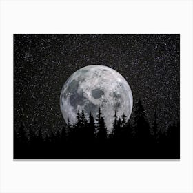 Full Moon 2 Canvas Print