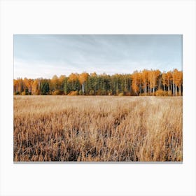 Warm Forest Field Canvas Print