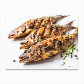 Grilled Fish Canvas Print