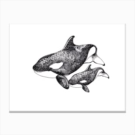 Orcas Canvas Print