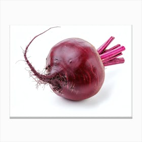 Beetroot isolated on white background. 6 Canvas Print