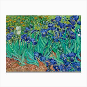 Irises In The Garden Canvas Print