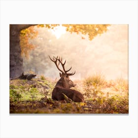 Deer In The Woods Canvas Print