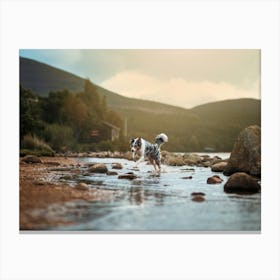 Australian Shepherd Running In Water- Scotland Highland UK dog photo print - moody animal photography Canvas Print