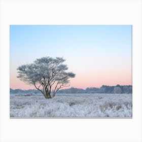 Winter Landscape In The Netherlands Pastel Canvas Print