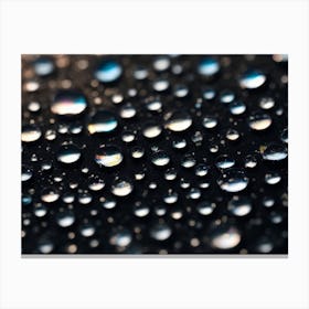 Water Droplets Canvas Print