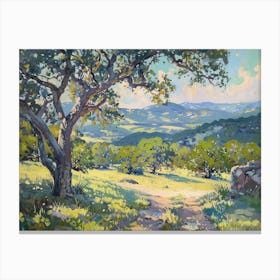 Western Landscapes Texas Hill Country 2 Canvas Print