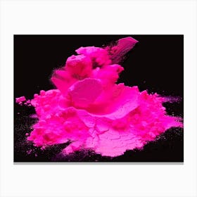 Pink Powder explosion Canvas Print