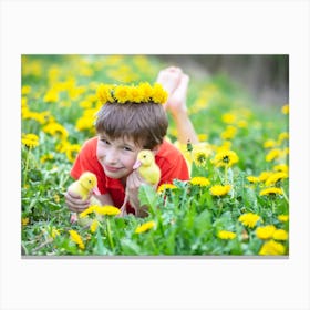 The boy lies in the grass with funny ducklings. Canvas Print