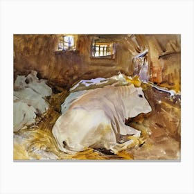 Oxen (ca. 1910), John Singer Sargent Canvas Print