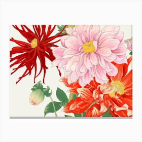 Dahlias 2 Canvas Print