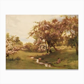 Apple Blossoms Canvas Print