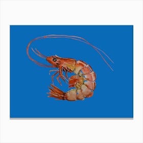 Blue Shrimp Canvas Print