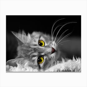 Black And White Cat Canvas Print