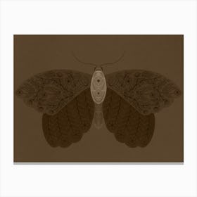 Brown monochrome floral moth Canvas Print