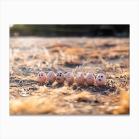 Eggs In A Row Canvas Print