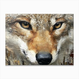 Coyote In The Woods 2 Canvas Print