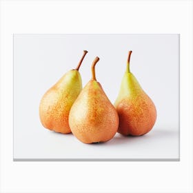 Three Pears Canvas Print