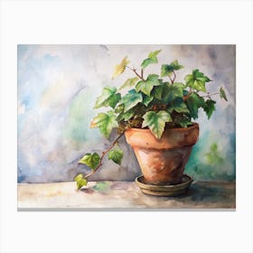 Ivy In A Pot 1 Canvas Print