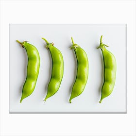 Green Pea Pods 1 Canvas Print