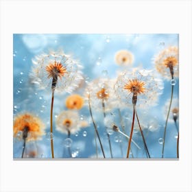 Dandelion 32 Canvas Print