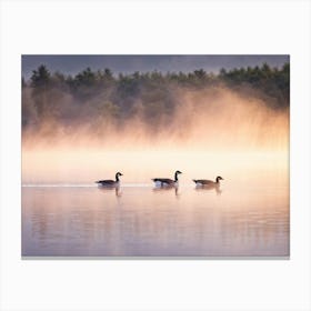 Canadian Geese In Mist Canvas Print