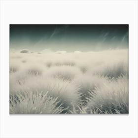 A Field Of Tall, White Grass In A Hazy, Dreamy Setting Canvas Print