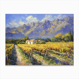 Vineyards In The Mountains Canvas Print