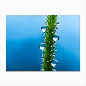 Waterdrops On Plants 09 Canvas Print
