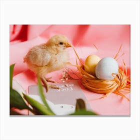 Easter Chick 1 Canvas Print