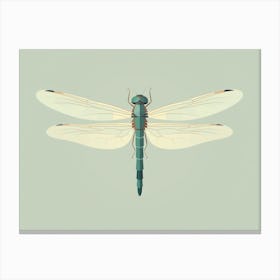 Dragonfly Common Green Darner Anax Juni Illustration 5 Canvas Print