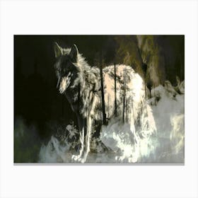 Canis - Wolf In The Forest Canvas Print