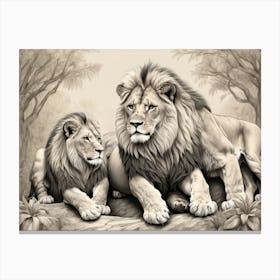 Lions 1 Canvas Print