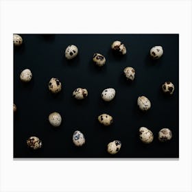 Quail Eggs 8 Canvas Print