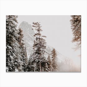 Snow Covered Pines Canvas Print