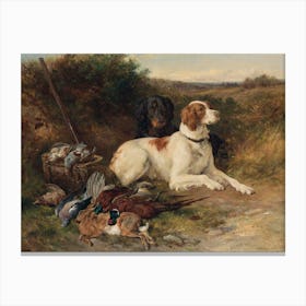 Dog And Pheasant Canvas Print