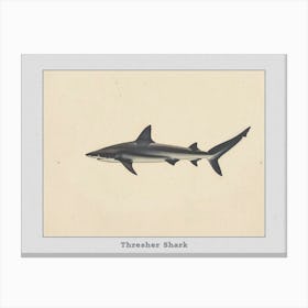 Thresher Shark Silhouette 4 Poster Canvas Print