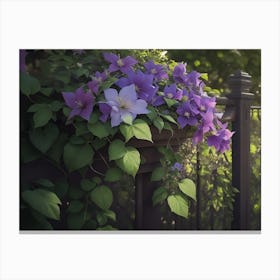 Clematis Draped Fence Hanging Down Canvas Print