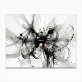 Quantum Entanglement Abstract Black And White 5 Canvas Print