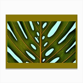 Monstera With Passepartout Canvas Print