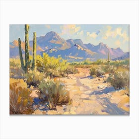 Western Landscapes Sonoran Desert Arizona 3 Canvas Print