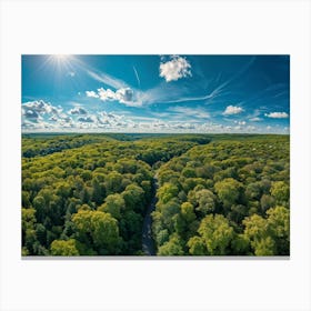 Aerial View Capturing The Vibrant Canvas Of A Lush Green Forest In Springtime Canopy Of Dense Reju (5) Canvas Print