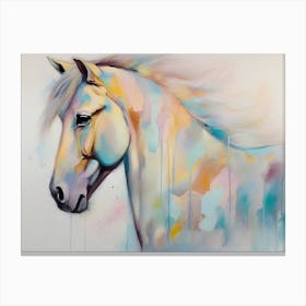 White Horse 1 Canvas Print