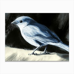 Blue Bird 2 Canvas Print