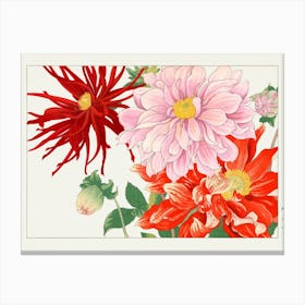 Dahlias Canvas Print